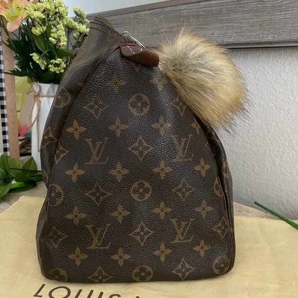 SOLD Louis Vuitton Speedy & Wallet - Picture 3 of 11